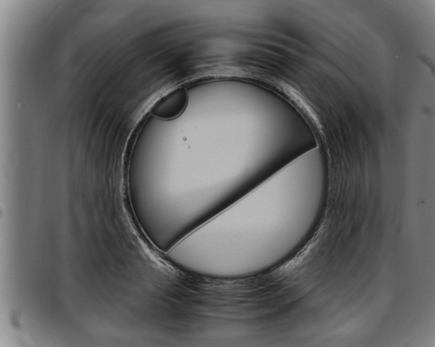 X0000097500845200802220840