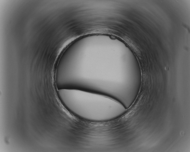 X0000097500846200802220840