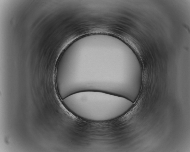 X0000097500847200802220840