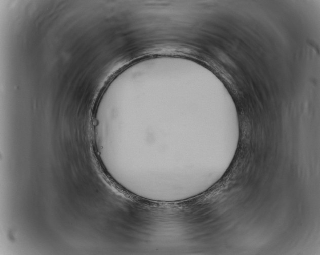X0000097500848200802220840