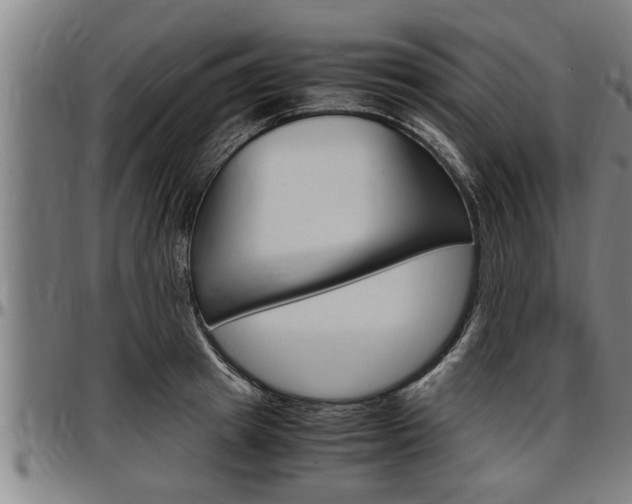 X0000097500849200802220840