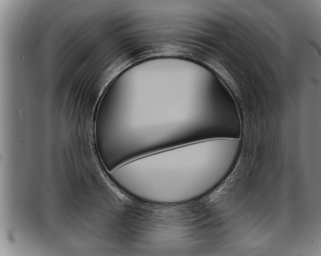 X0000097500850200802220840