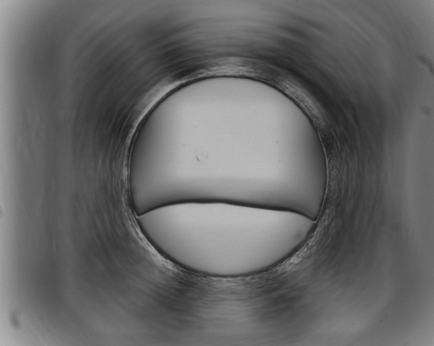 X0000097500852200802220840