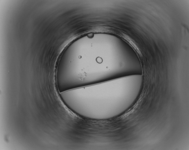 X0000097500853200802220840