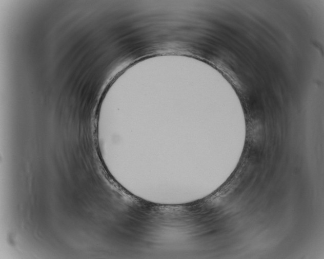 X0000097500856200802220840