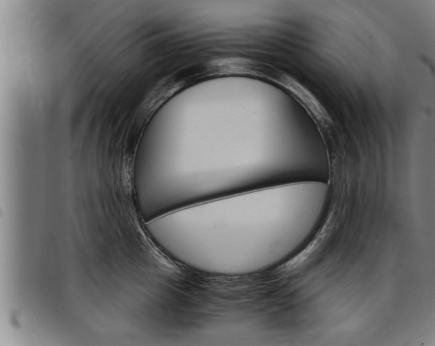 X0000097500857200802220840