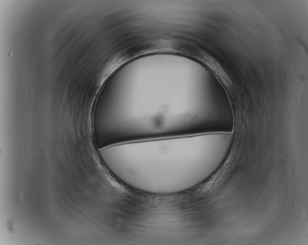 X0000097500858200802220840
