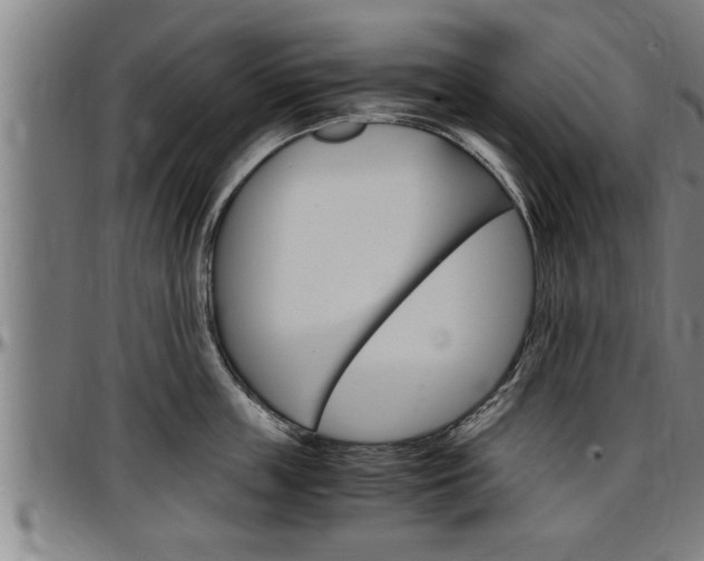 X0000097500859200802220840