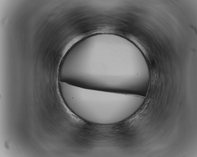 X0000097500861200802220840