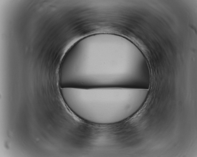 X0000097500862200802220840
