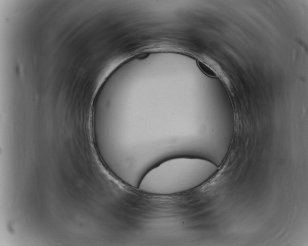 X0000097500863200802220840