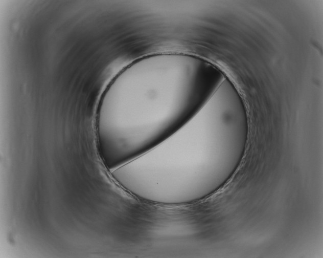 X0000097500864200802220840