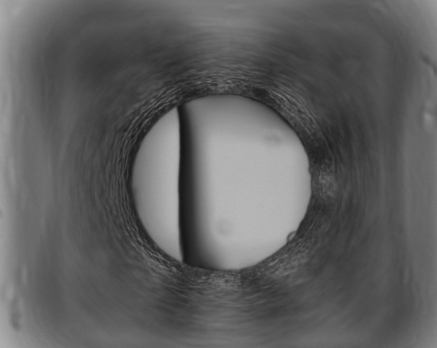 X0000097500865200802220839