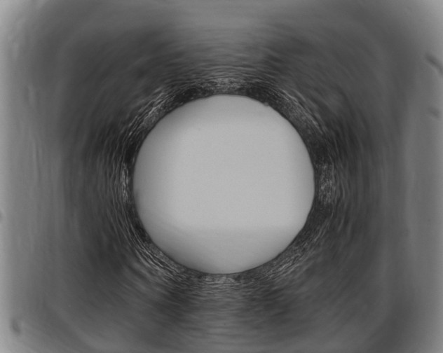 X0000097500866200802220839