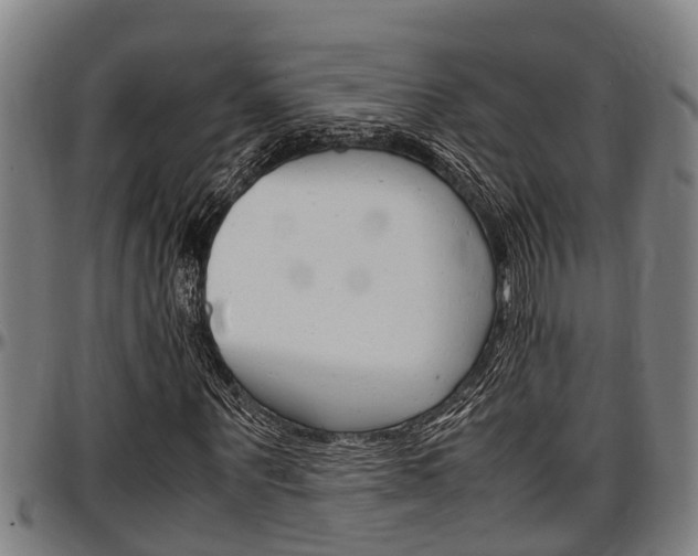 X0000097500867200802220839