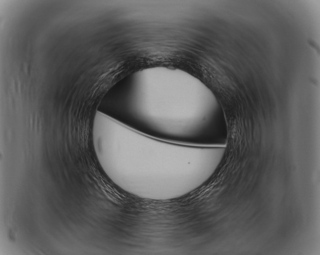 X0000097500868200802220839