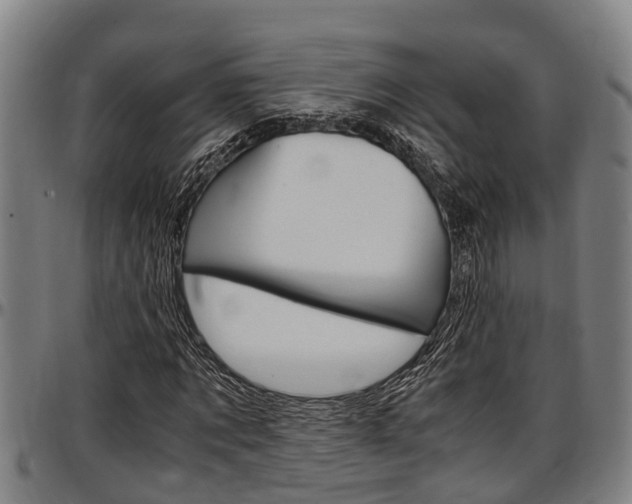 X0000097500869200802220839
