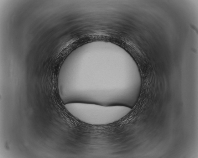X0000097500870200802220839