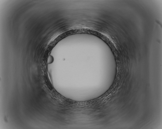 X0000097500871200802220839
