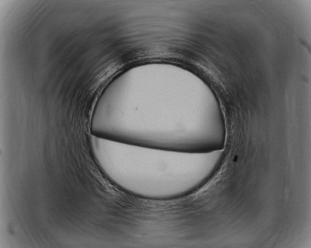 X0000097500873200802220839