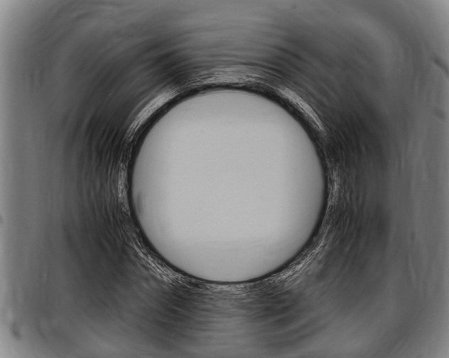 X0000097500874200802220839