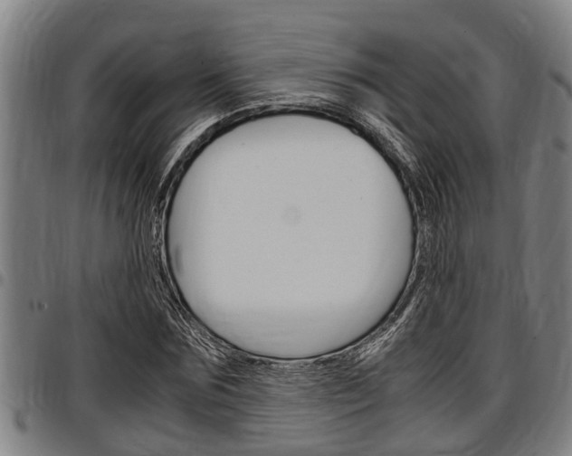 X0000097500875200802220839