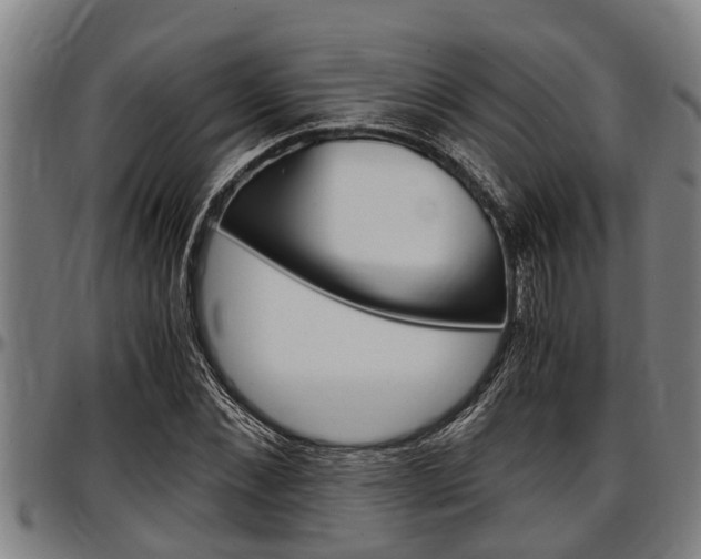 X0000097500876200802220839
