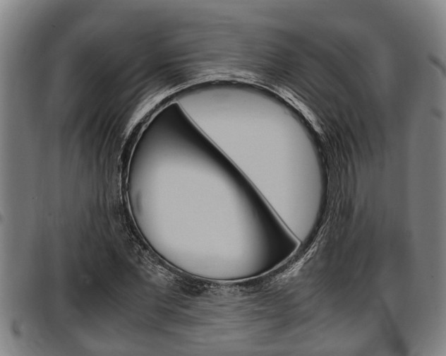 X0000097500877200802220839