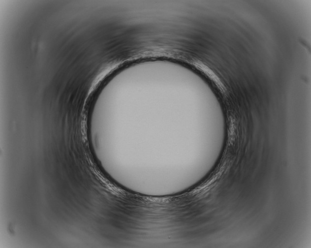 X0000097500878200802220839