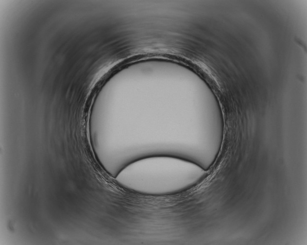 X0000097500879200802220839