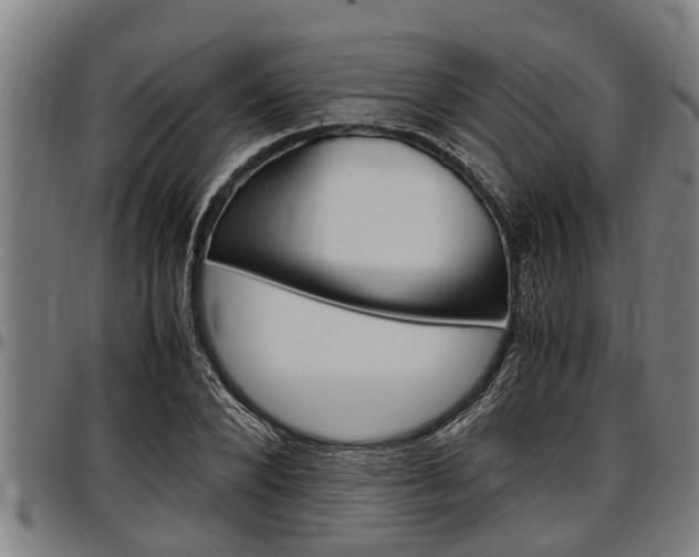X0000097500880200802220839