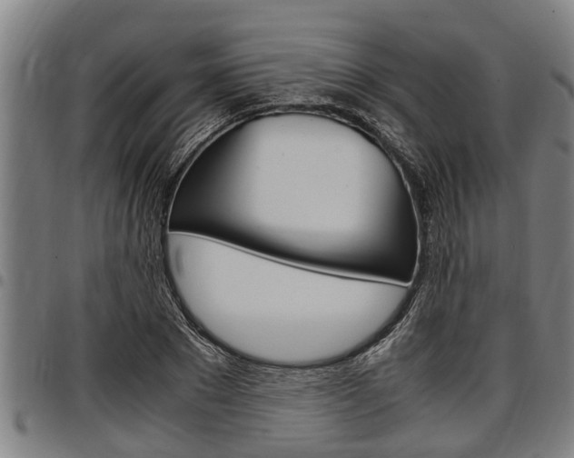 X0000097500881200802220839