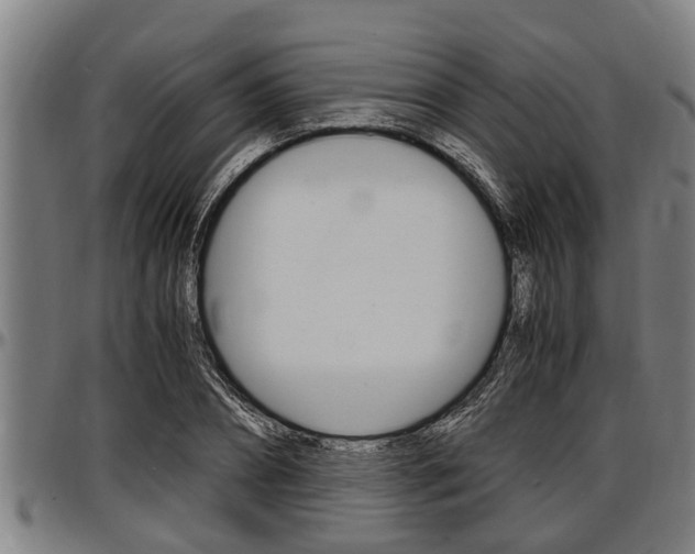 X0000097500882200802220839