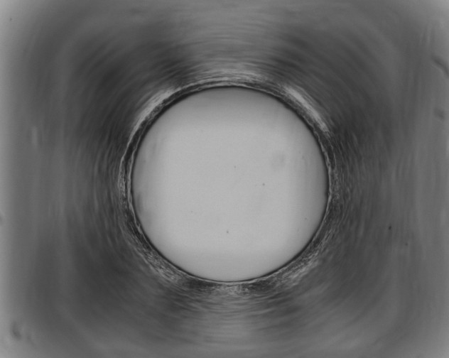 X0000097500883200802220839