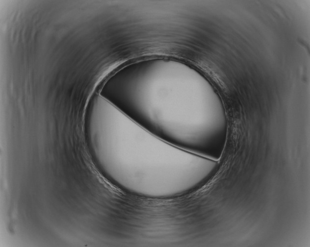 X0000097500884200802220839