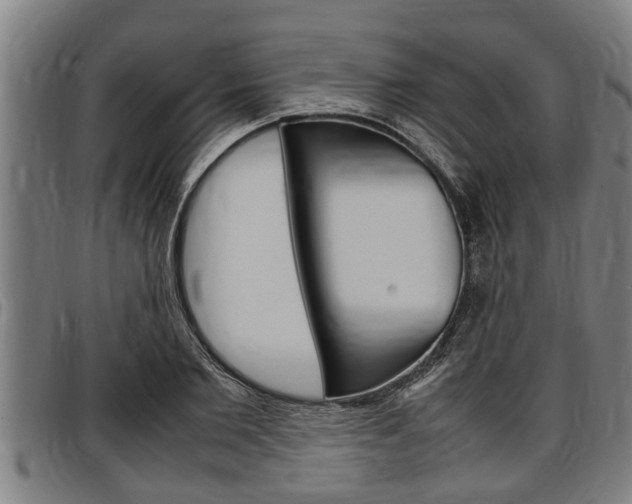 X0000097500885200802220839