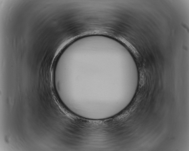 X0000097500886200802220839