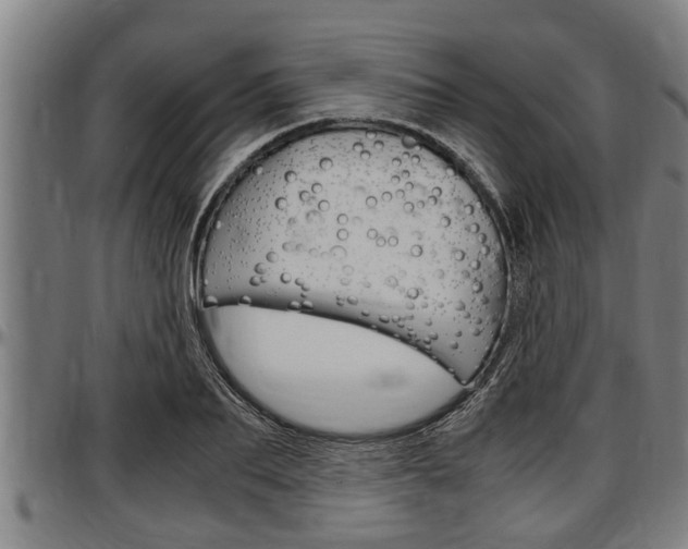 X0000097500887200802220839