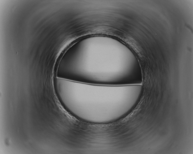 X0000097500888200802220839