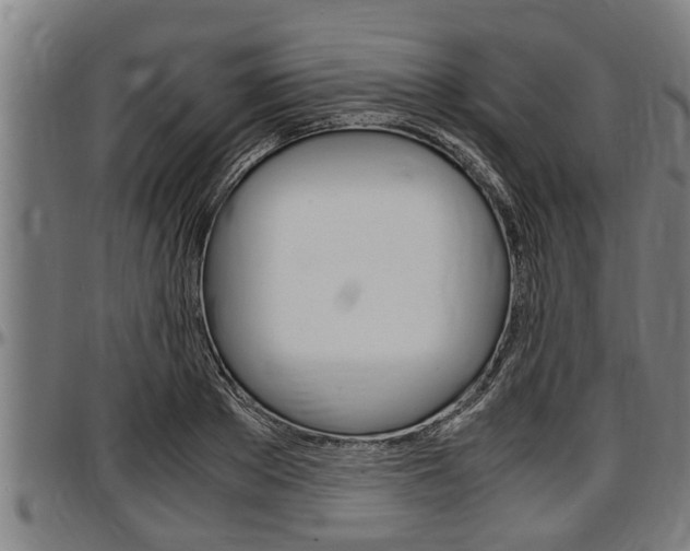 X0000097500889200802220839