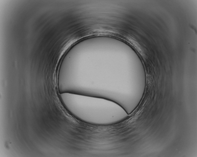 X0000097500891200802220839