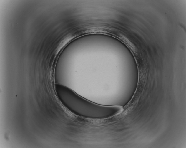 X0000097500893200802220839