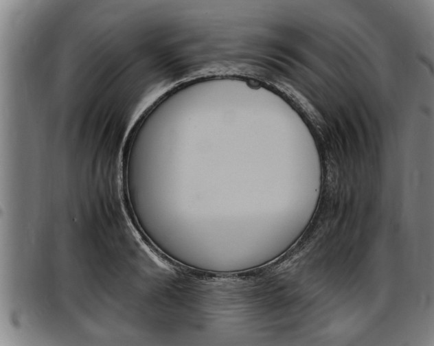 X0000097500894200802220839