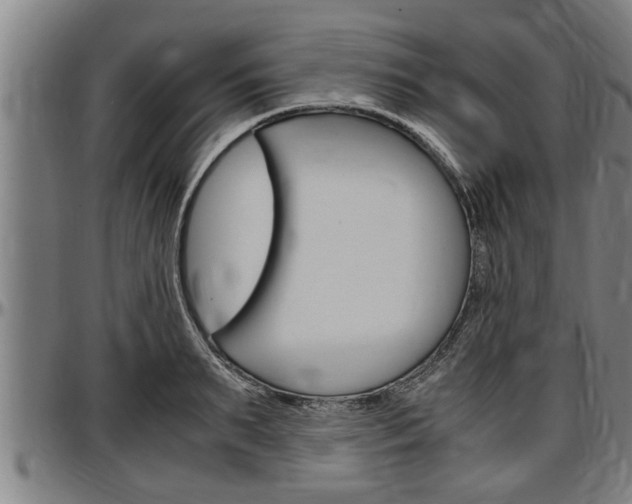 X0000097500895200802220839