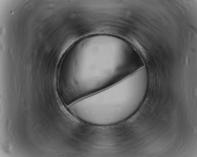 X0000097500896200802220839