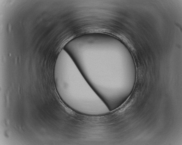 X0000097500897200802220839
