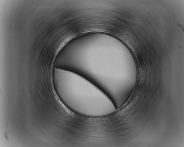 X0000097500898200802220839
