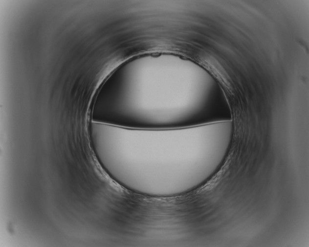 X0000097500900200802220839