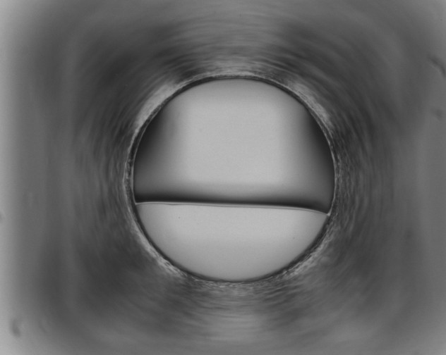 X0000097500901200802220839