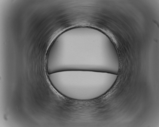 X0000097500903200802220839